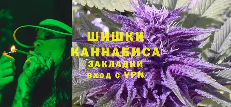 Марихуана White Widow  KRAKEN зеркало  Новодвинск  где можно купить  